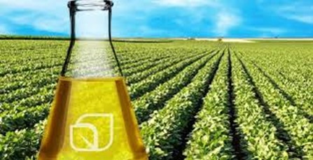 СКАСУВАННЯ НАЦІОНАЛЬНИХ СТАНДАРТІВ ЗІ СФЕРИ СТАНДАРТИЗАЦІЇ ТК 198